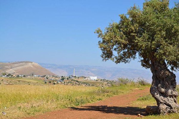 | موسوعة القرى الفلسطينية  | موسوعة القرى الفلسطينية