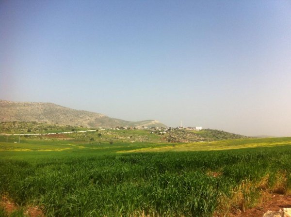 | موسوعة القرى الفلسطينية  | موسوعة القرى الفلسطينية