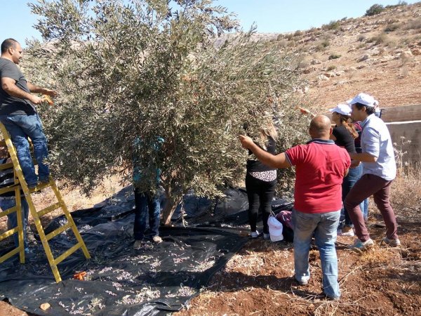 | موسوعة القرى الفلسطينية  | موسوعة القرى الفلسطينية
