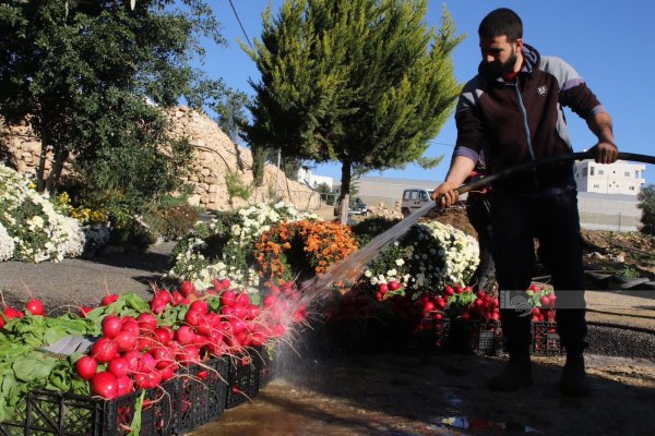  | موسوعة القرى الفلسطينية