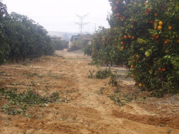  | موسوعة القرى الفلسطينية