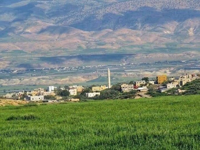 بردلة  | موسوعة القرى الفلسطينية