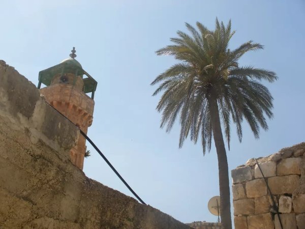 المسجد القديم/قرية حجه