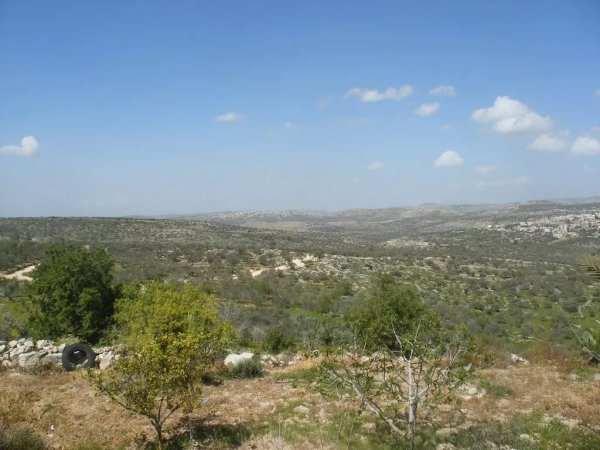 أراضي شمال القرية/قرية حجه