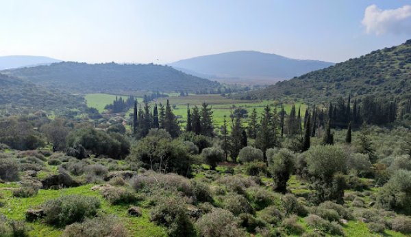 | موسوعة القرى الفلسطينية  | موسوعة القرى الفلسطينية