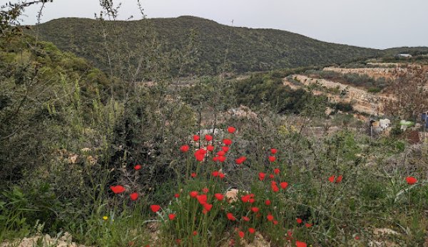 | موسوعة القرى الفلسطينية  | موسوعة القرى الفلسطينية