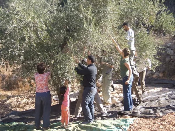  | موسوعة القرى الفلسطينية