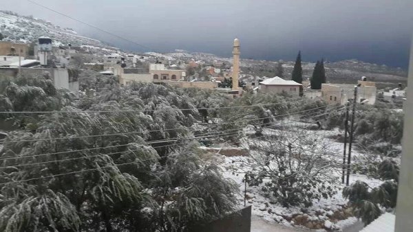  | موسوعة القرى الفلسطينية