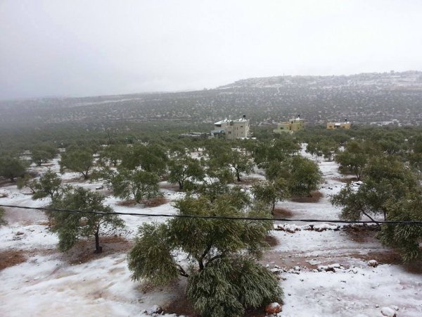  | موسوعة القرى الفلسطينية