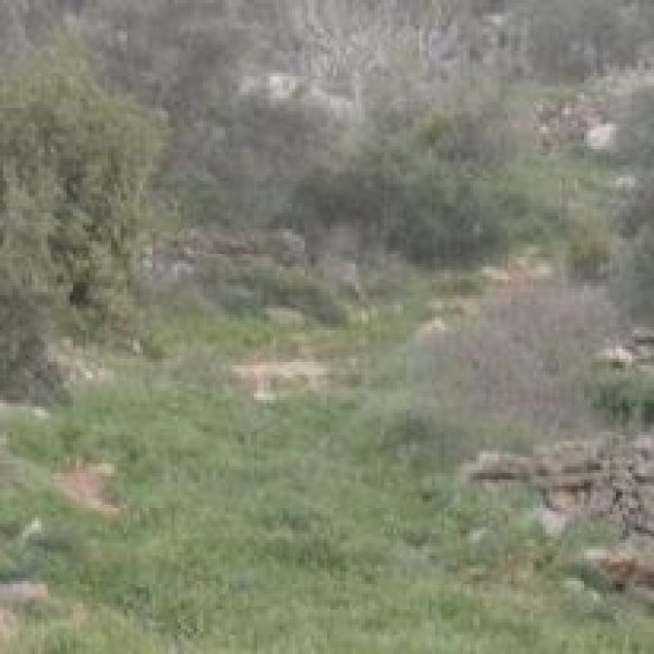 | موسوعة القرى الفلسطينية  | موسوعة القرى الفلسطينية