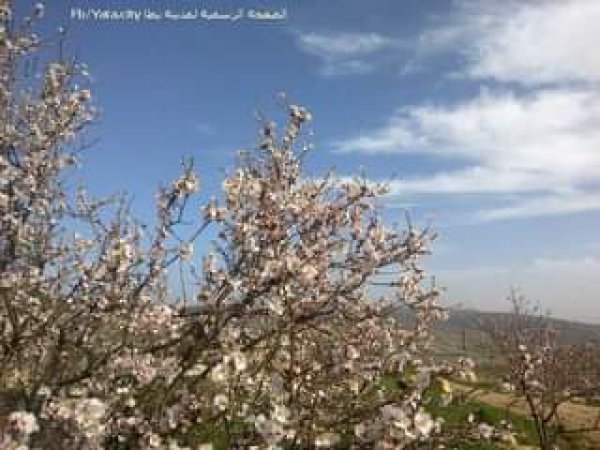 | موسوعة القرى الفلسطينية  | موسوعة القرى الفلسطينية