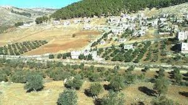 | موسوعة القرى الفلسطينية  | موسوعة القرى الفلسطينية