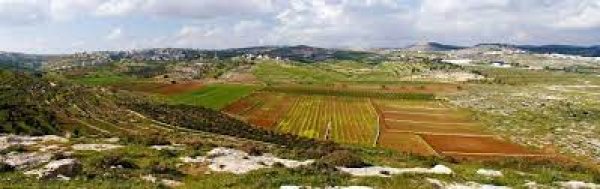 قرية امريش / الخليل