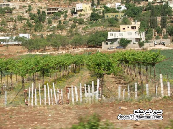  | موسوعة القرى الفلسطينية