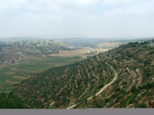  | موسوعة القرى الفلسطينية