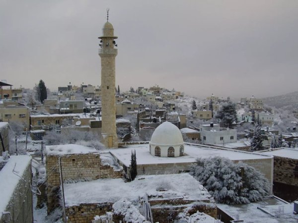  | موسوعة القرى الفلسطينية