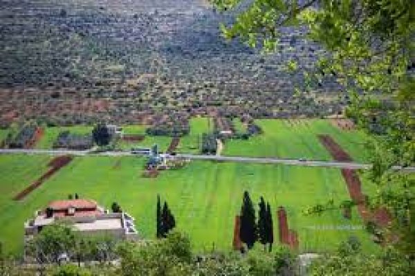  | موسوعة القرى الفلسطينية