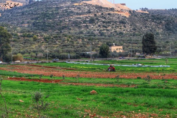 قريه  الساوية تصوير صلاح جبور