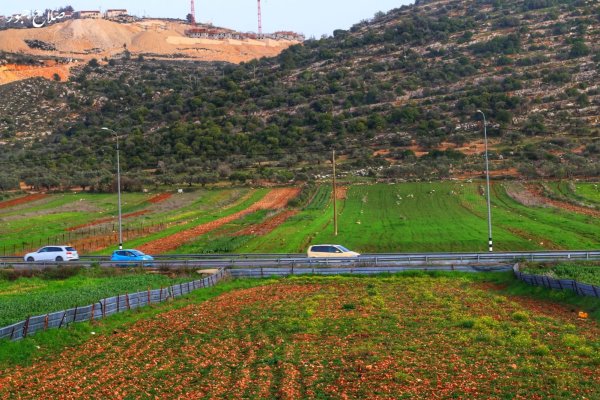  | موسوعة القرى الفلسطينية