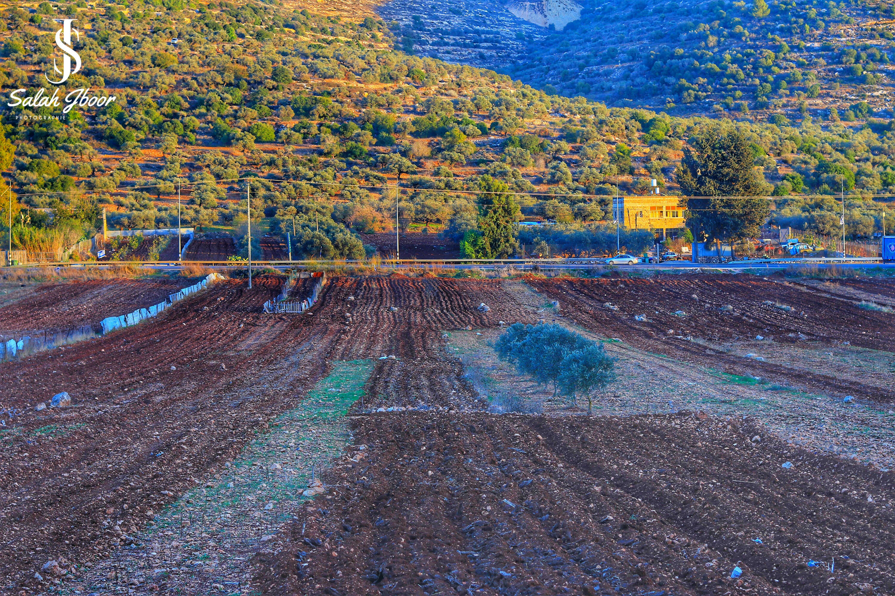  | موسوعة القرى الفلسطينية
