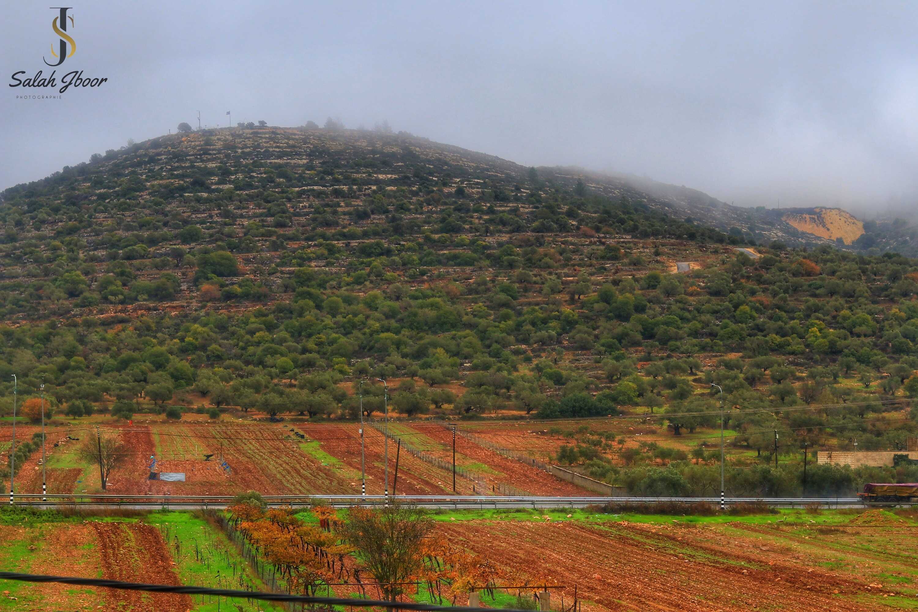  | موسوعة القرى الفلسطينية