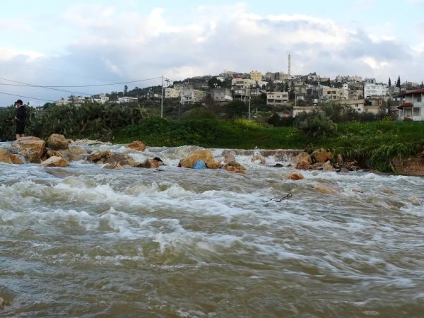| موسوعة القرى الفلسطينية  | موسوعة القرى الفلسطينية
