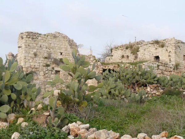 | موسوعة القرى الفلسطينية  | موسوعة القرى الفلسطينية
