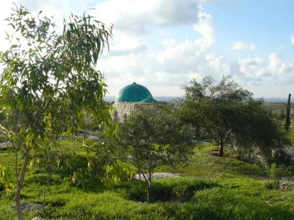 | موسوعة القرى الفلسطينية  | موسوعة القرى الفلسطينية