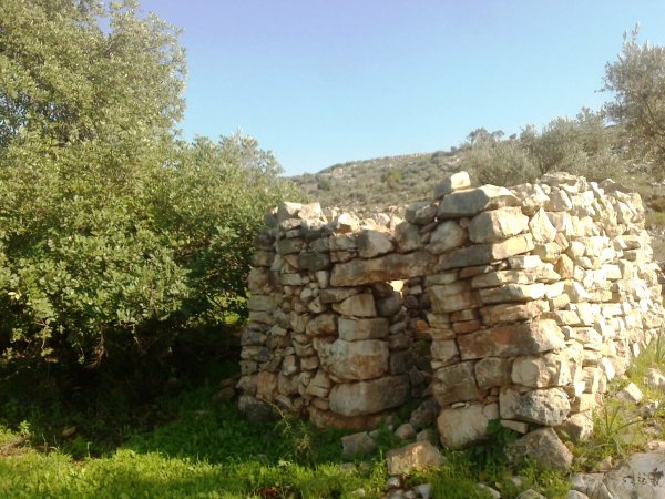 | موسوعة القرى الفلسطينية  | موسوعة القرى الفلسطينية