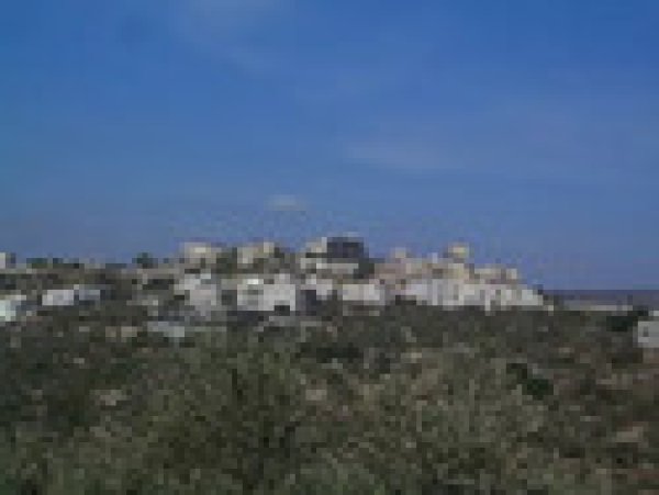  | موسوعة القرى الفلسطينية