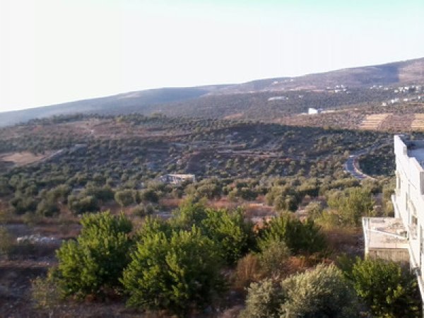  | موسوعة القرى الفلسطينية