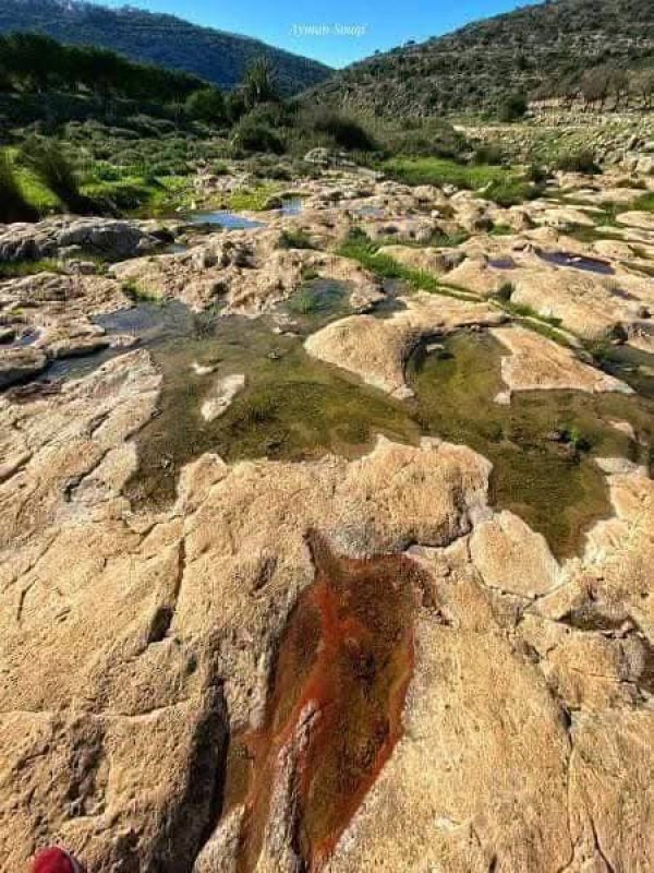 جمال الطبيعة في وادي قانا ببلدة دير استيا محافظة سلفيت تصوير : أيمن سوقي