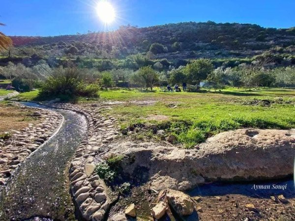 جمال الطبيعة في وادي قانا ببلدة دير استيا محافظة سلفيت تصوير : أيمن سوقي