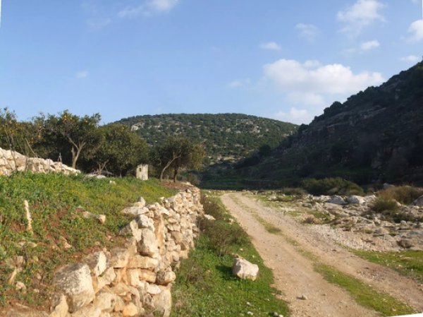  | موسوعة القرى الفلسطينية