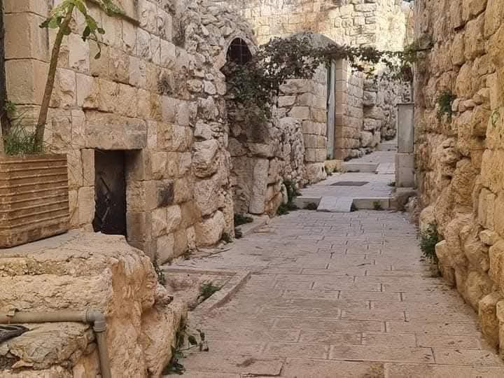 قرية دير استيا – البلدة القديمة / فلسطين