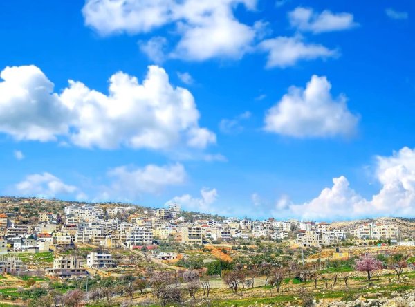 | موسوعة القرى الفلسطينية  | موسوعة القرى الفلسطينية