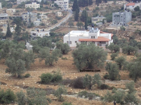 | موسوعة القرى الفلسطينية  | موسوعة القرى الفلسطينية