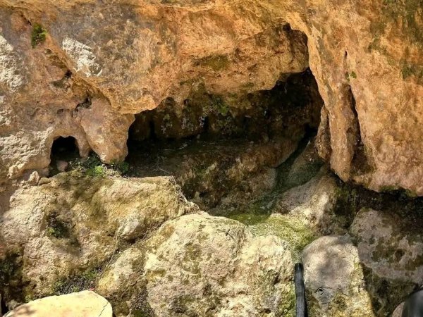 | موسوعة القرى الفلسطينية  | موسوعة القرى الفلسطينية