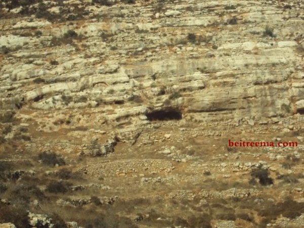 | موسوعة القرى الفلسطينية  | موسوعة القرى الفلسطينية