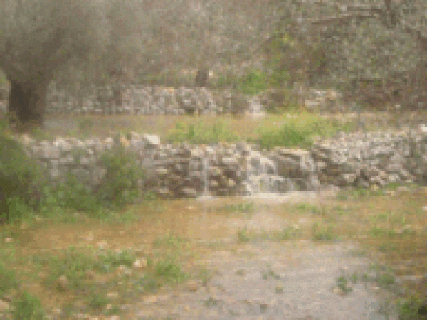  | موسوعة القرى الفلسطينية