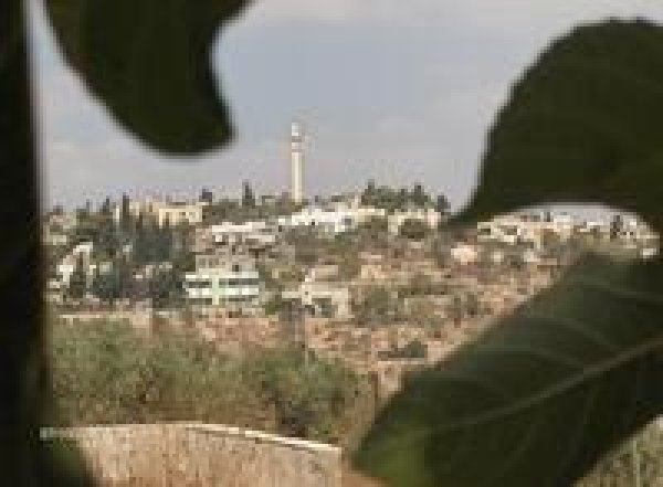  | موسوعة القرى الفلسطينية