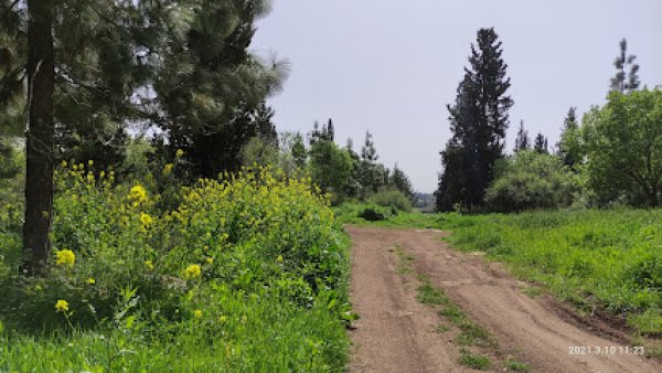 | موسوعة القرى الفلسطينية  | موسوعة القرى الفلسطينية