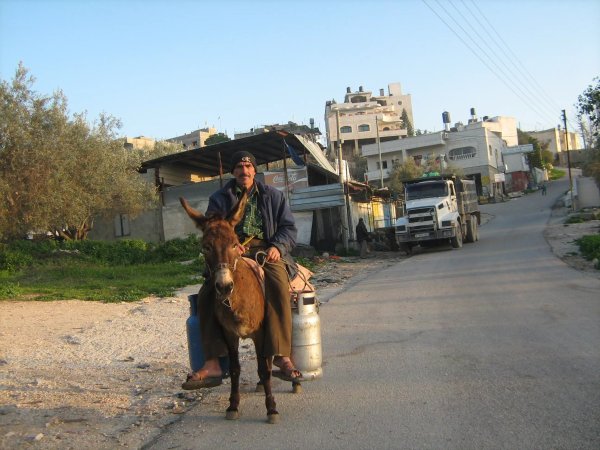 | موسوعة القرى الفلسطينية  | موسوعة القرى الفلسطينية