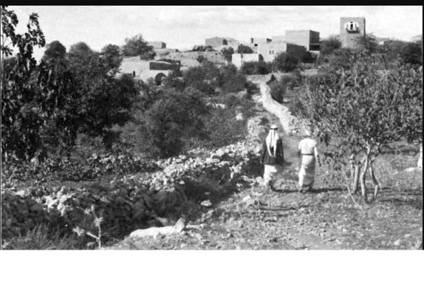 | موسوعة القرى الفلسطينية  | موسوعة القرى الفلسطينية