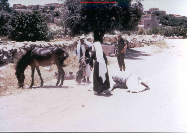 | موسوعة القرى الفلسطينية  | موسوعة القرى الفلسطينية