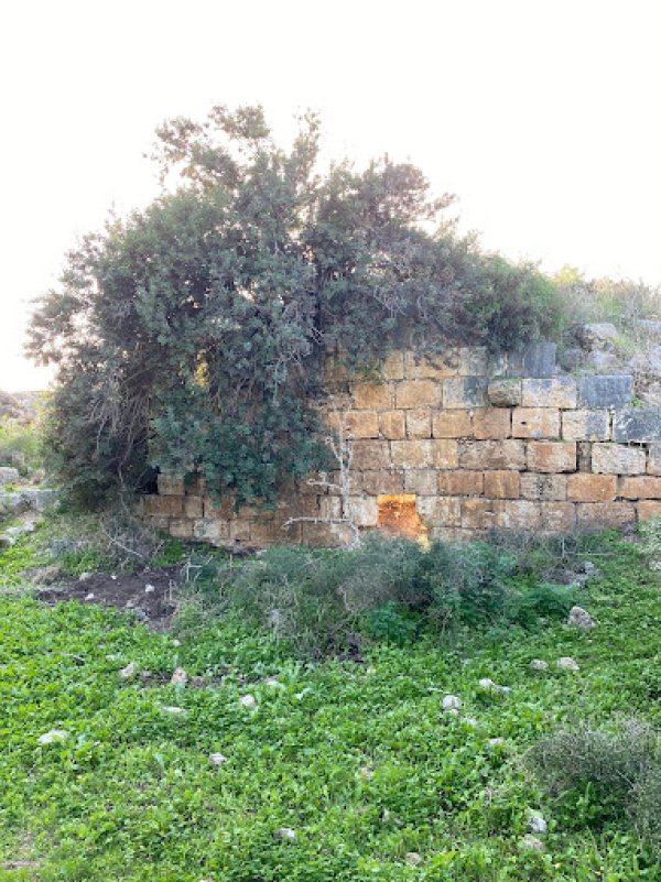  | موسوعة القرى الفلسطينية