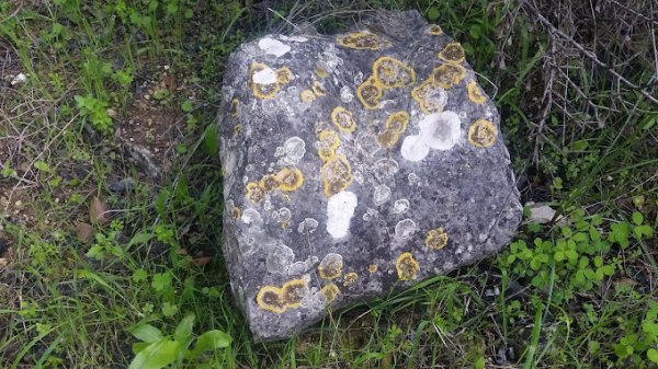  | موسوعة القرى الفلسطينية