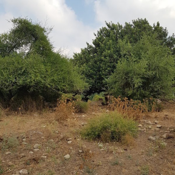  | موسوعة القرى الفلسطينية