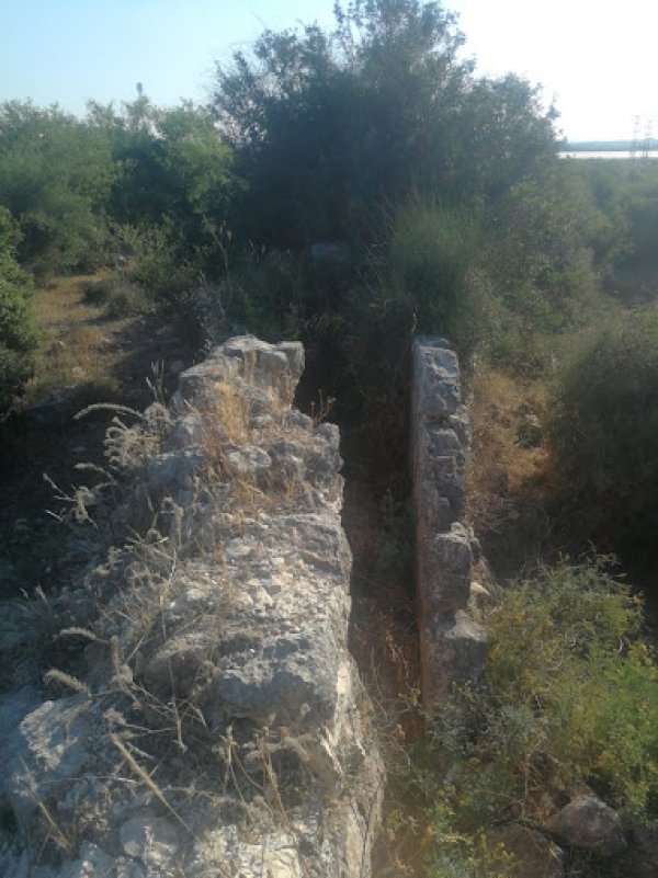  | موسوعة القرى الفلسطينية