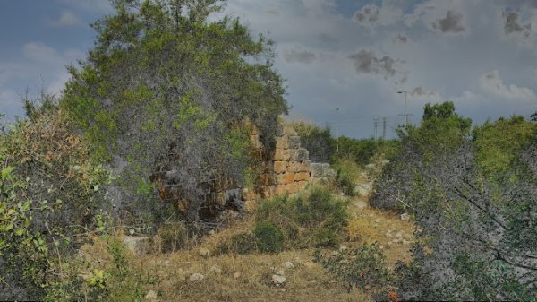  | موسوعة القرى الفلسطينية